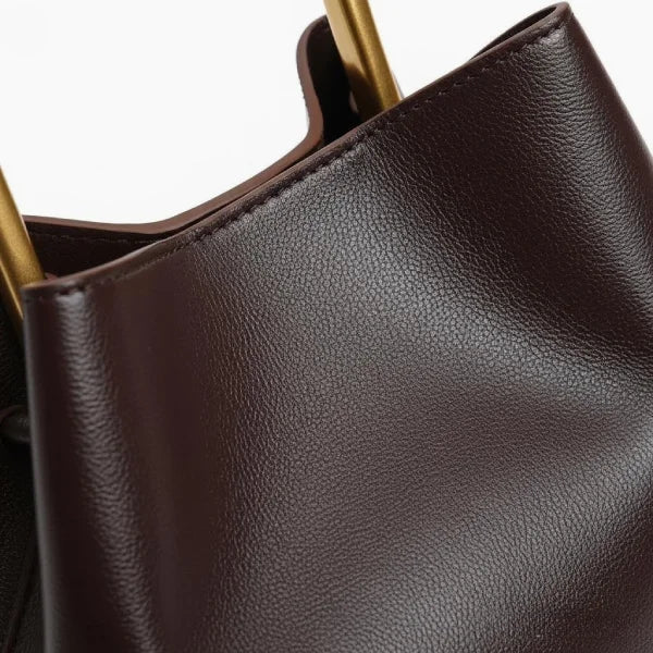 Izelia Genuine Leather Crossbody Bag in coffee, close-up with gold handles on a white background